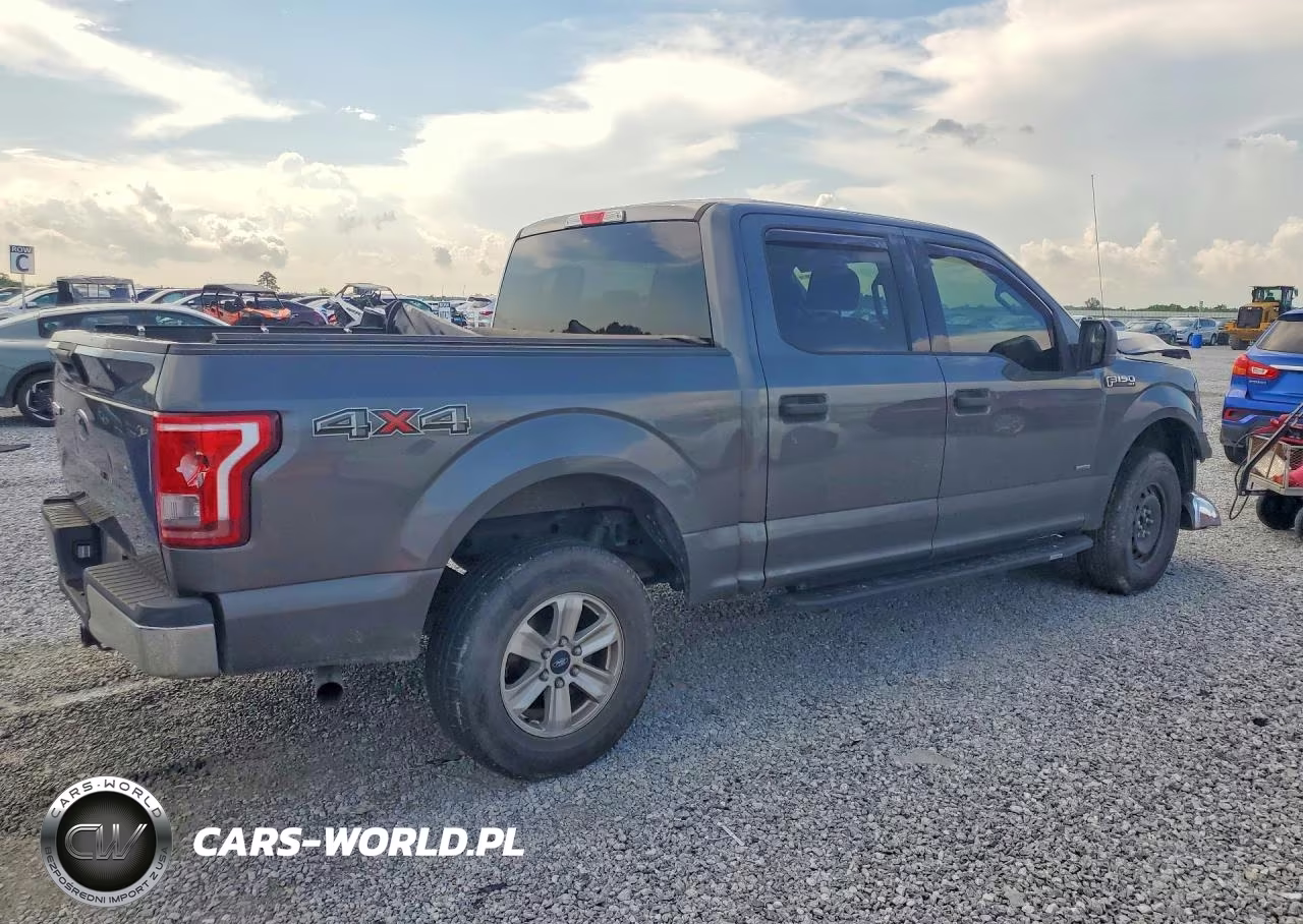 2016 Ford F150 Supercrew VIN:1FTEW1EP9GFC59304 - 3