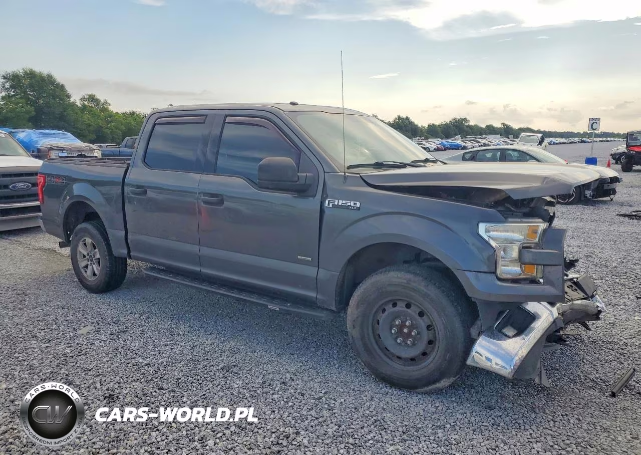 2016 Ford F150 Supercrew VIN:1FTEW1EP9GFC59304 - 4