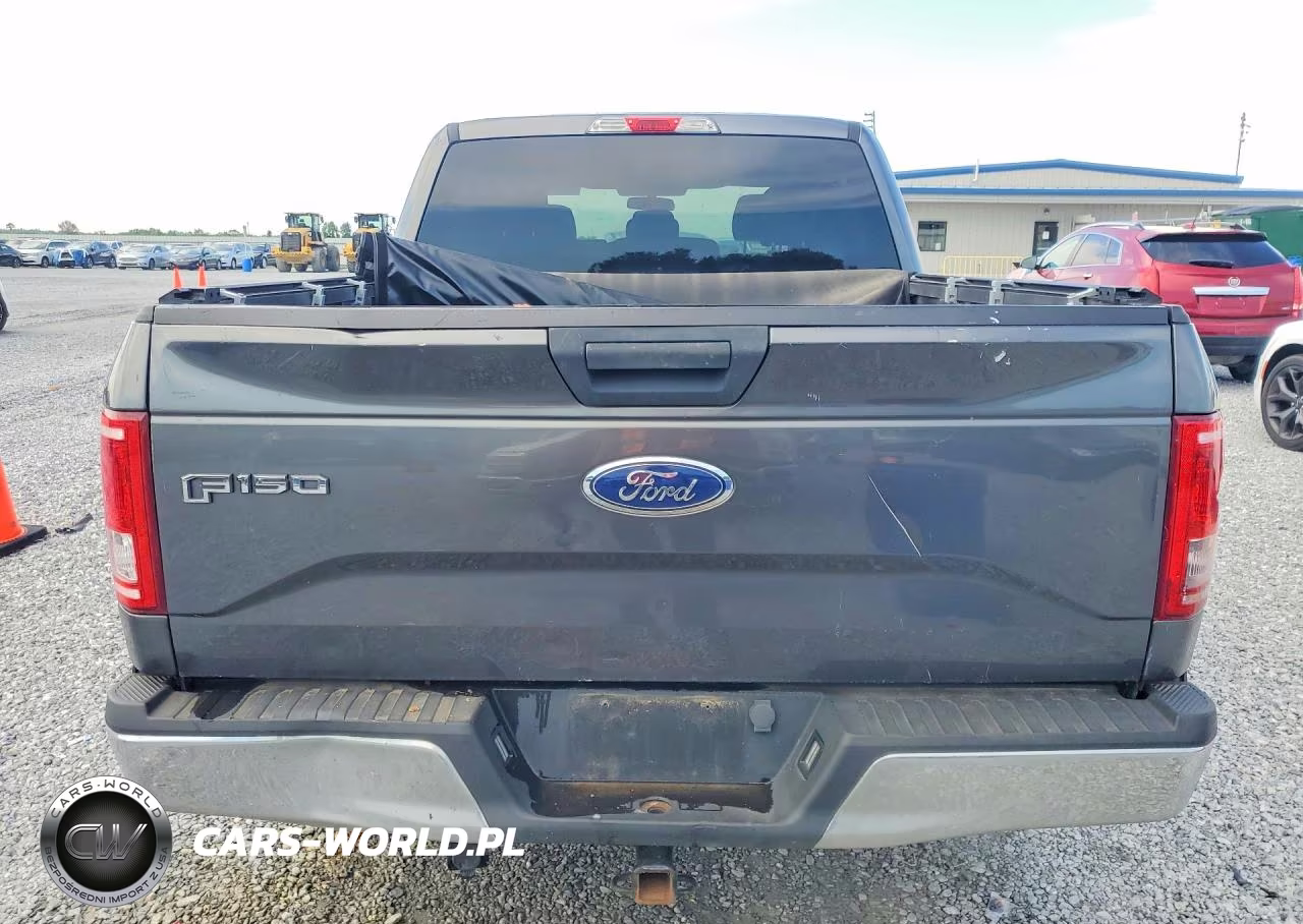 2016 Ford F150 Supercrew VIN:1FTEW1EP9GFC59304 - 6