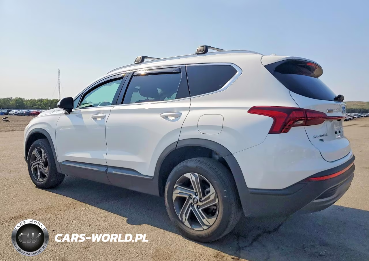 2023 Hyundai Santa Fe Sel VIN:5NMS2DAJ8PH592226 - 2