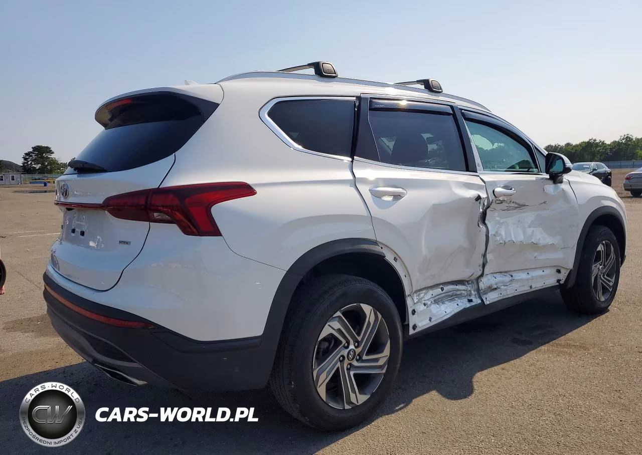 2023 Hyundai Santa Fe Sel VIN:5NMS2DAJ8PH592226 - 3