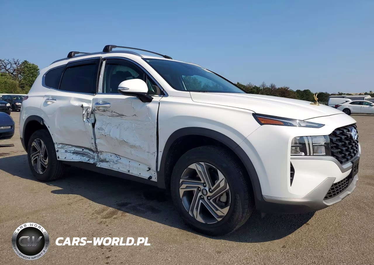 2023 Hyundai Santa Fe Sel VIN:5NMS2DAJ8PH592226 - 4