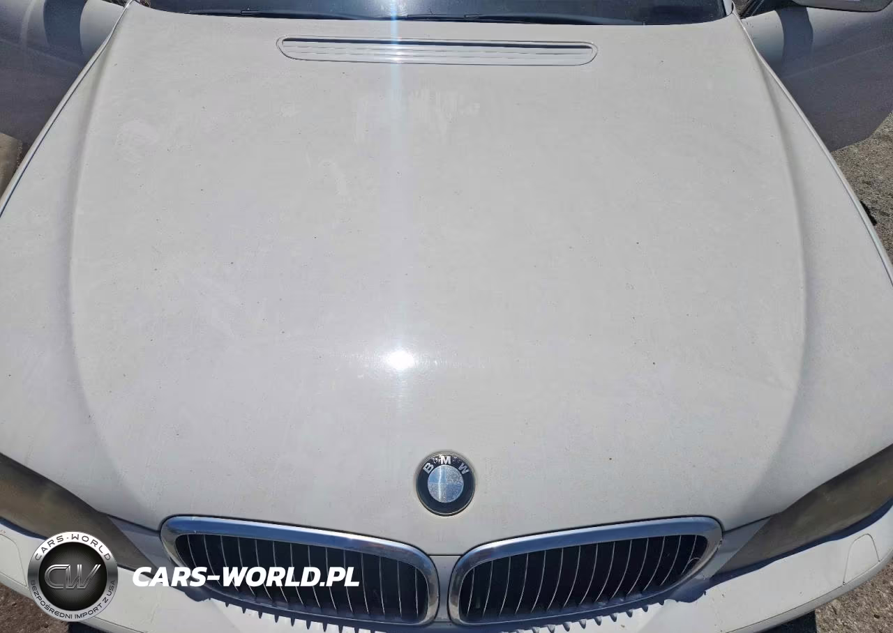 2006 BMW 750 I VIN:WBAHL83536DT00145 - 11