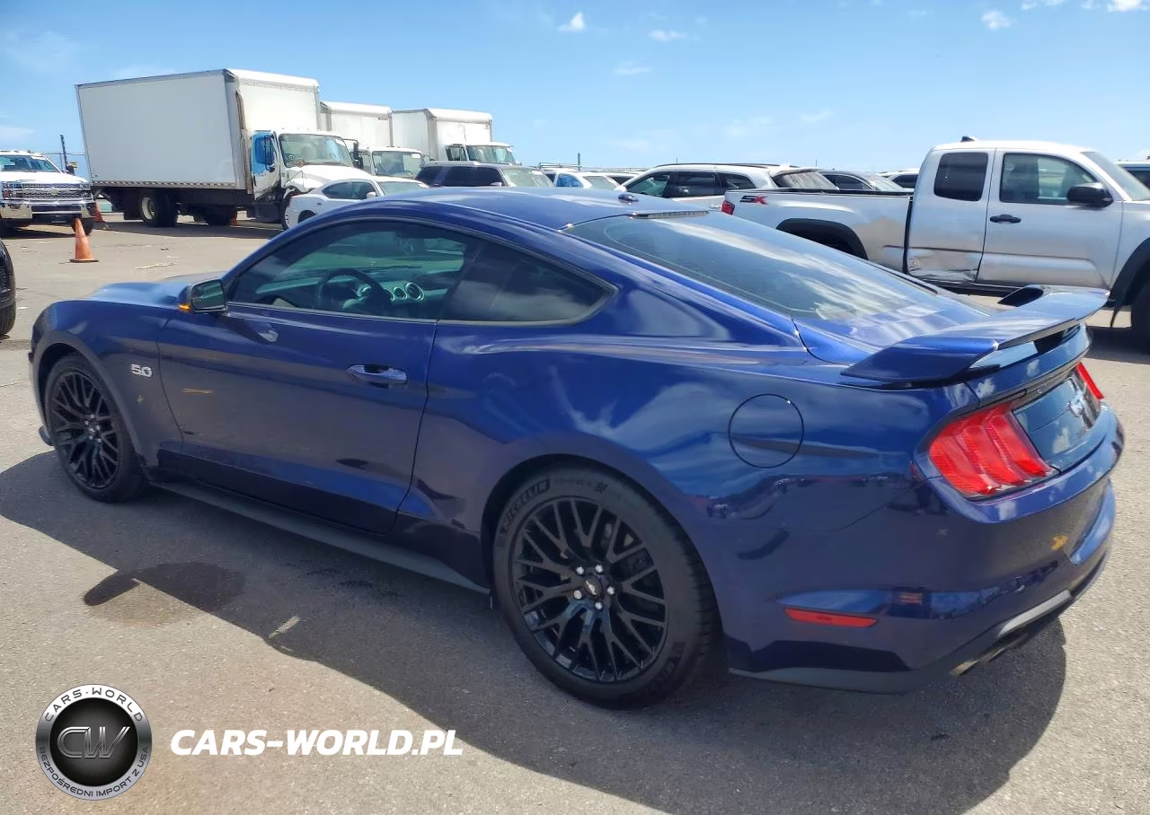 2019 Ford Mustang Gt VIN:1FA6P8CF0K5119229 - 2