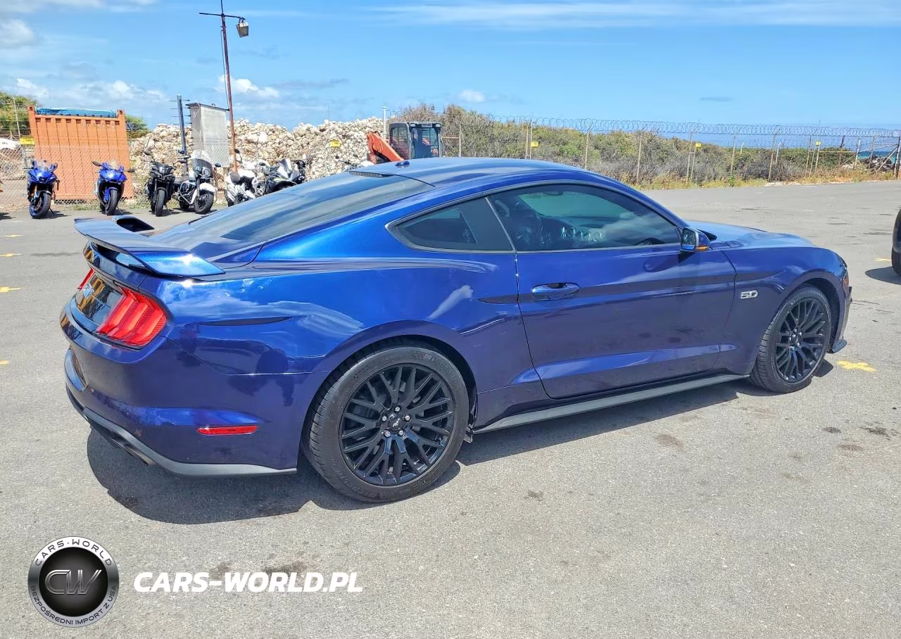 2019 Ford Mustang Gt VIN:1FA6P8CF0K5119229 - 3
