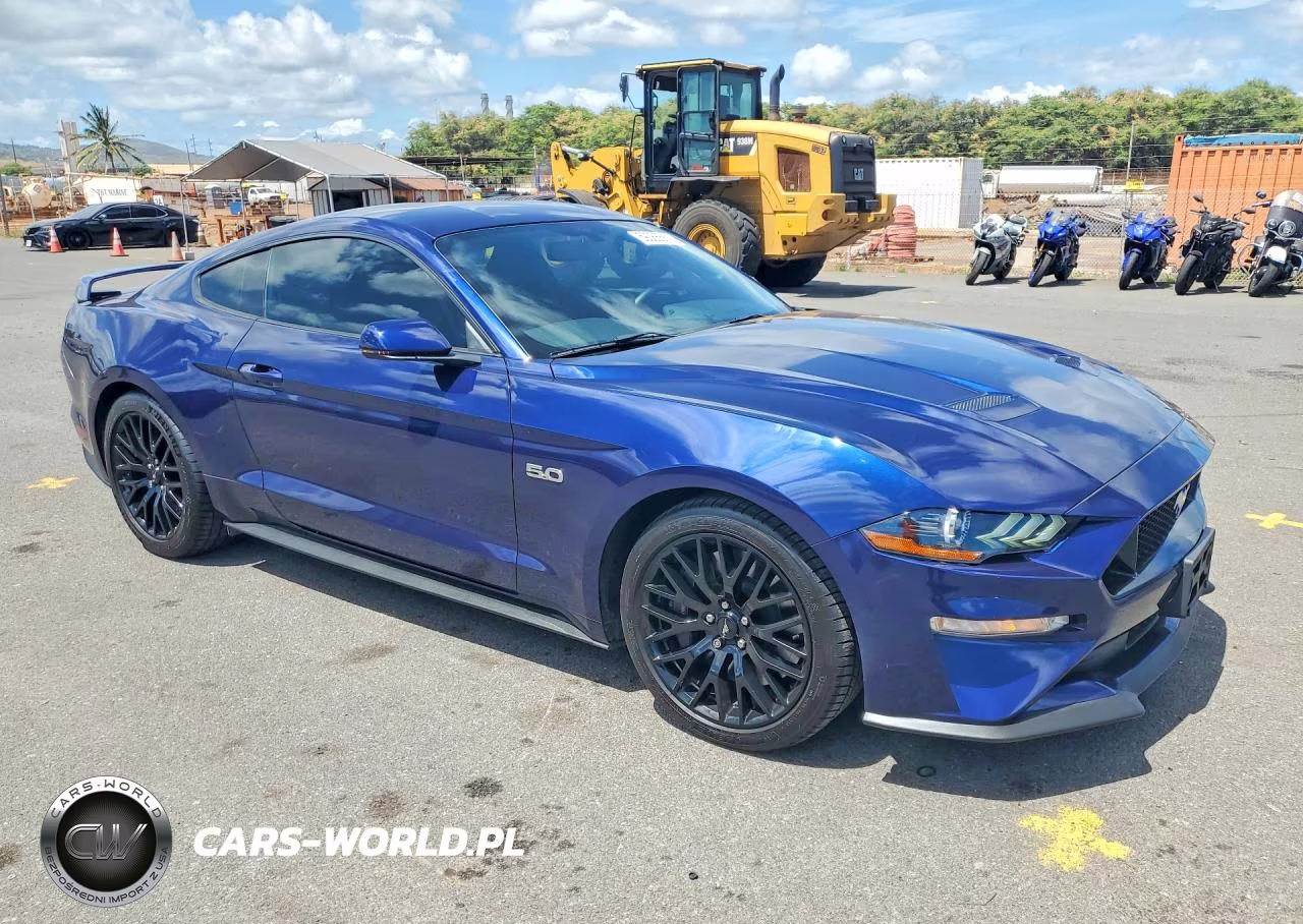 2019 Ford Mustang Gt VIN:1FA6P8CF0K5119229 - 4
