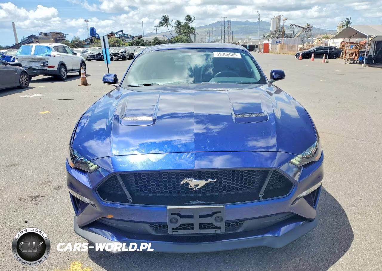 2019 Ford Mustang Gt VIN:1FA6P8CF0K5119229 - 5