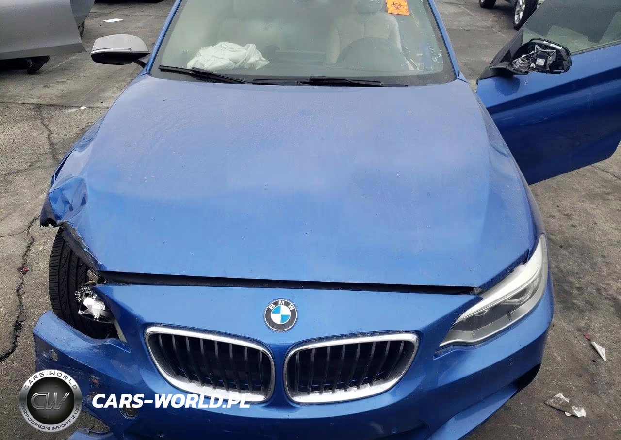2015 BMW M235I VIN:WBA1M1C58FV393521 - 11