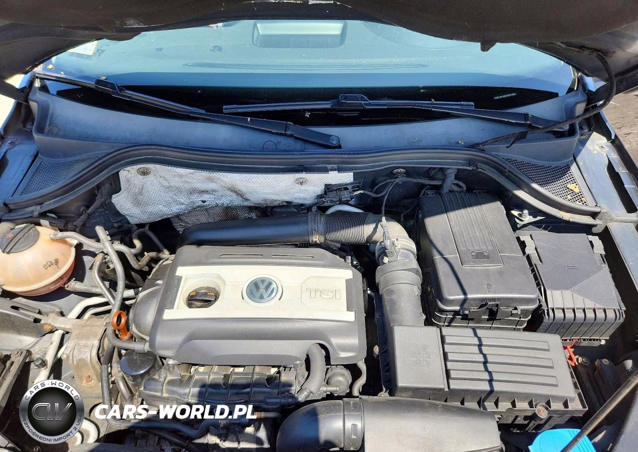 2013 Volkswagen Tiguan S VIN:WVGBV3AX8DW074661 - 12