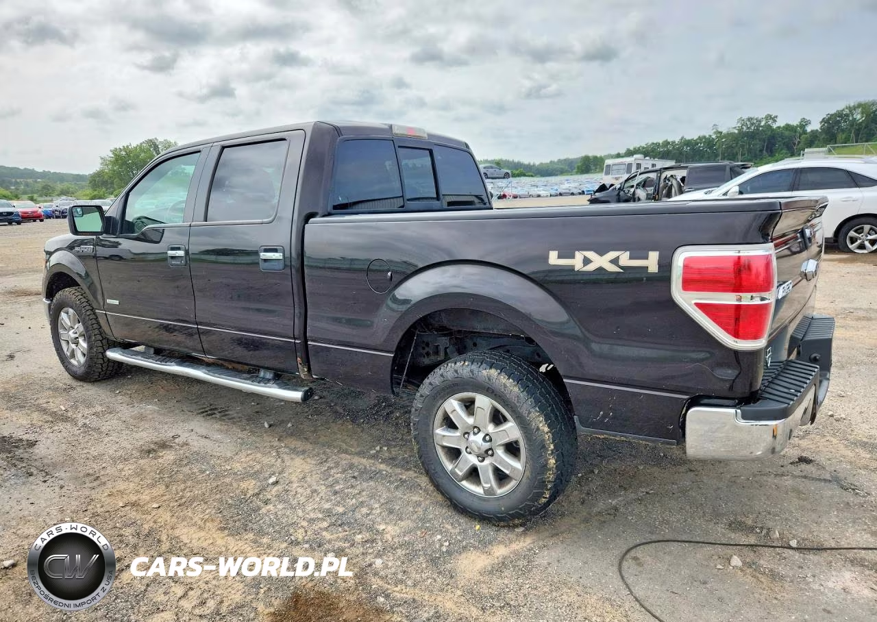 2013 Ford F150 Supercrew VIN:1FTFW1ET0DFA02819 - 2