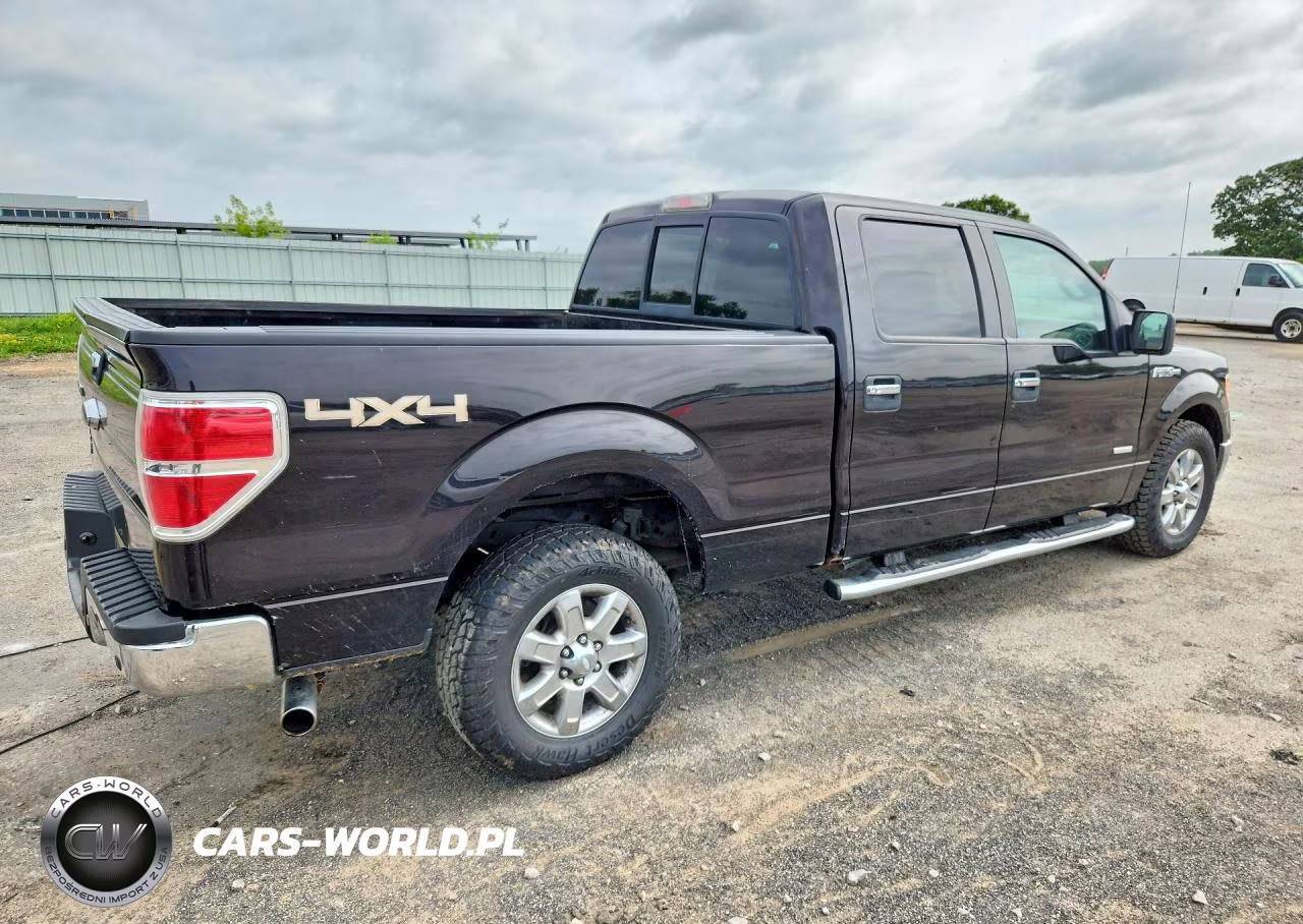 2013 Ford F150 Supercrew VIN:1FTFW1ET0DFA02819 - 3