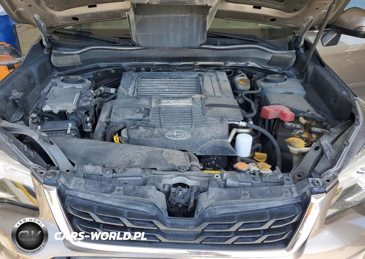 2017 Subaru Forester 2.0Xt Touring VIN:JF2SJGTC4HH555729 - 12