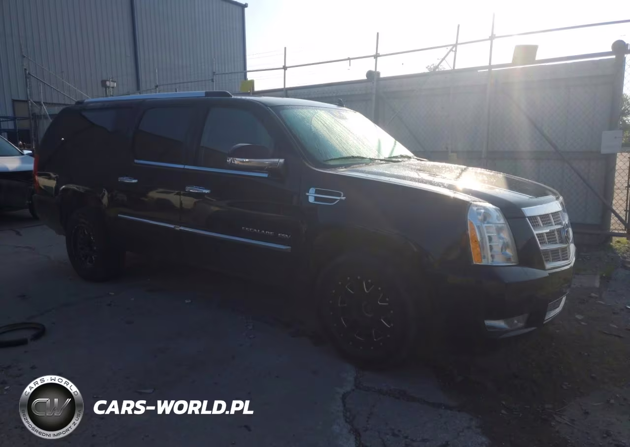 2011 Cadillac Escalade Esv Platinum VIN:1GYS4KEF4BR282190 - 4