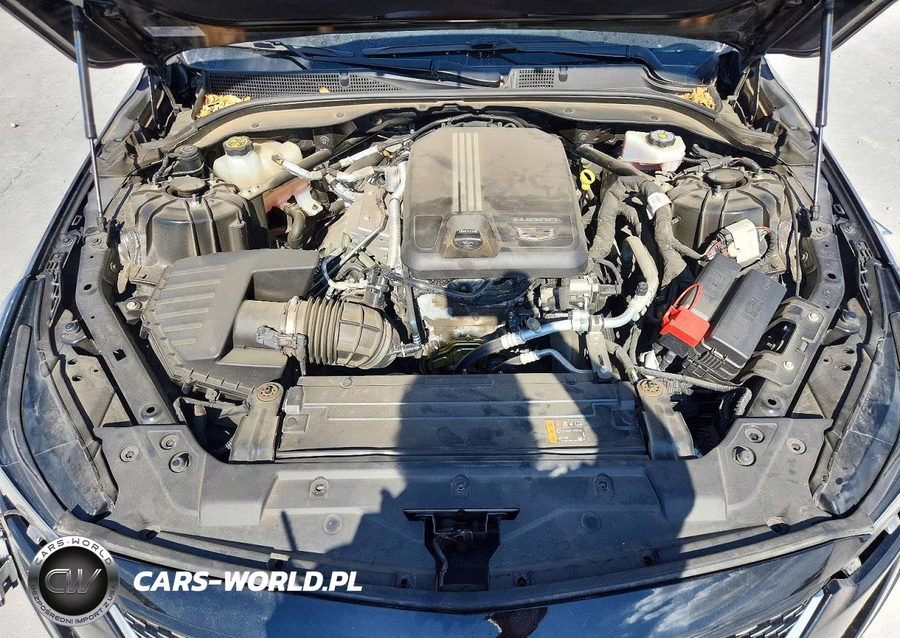2023 Cadillac Ct5 Luxury VIN:1G6DW5RK9P0142202 - 11