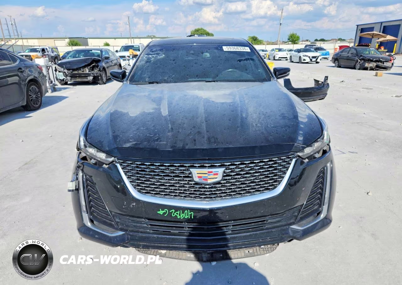 2023 Cadillac Ct5 Luxury VIN:1G6DW5RK9P0142202 - 5