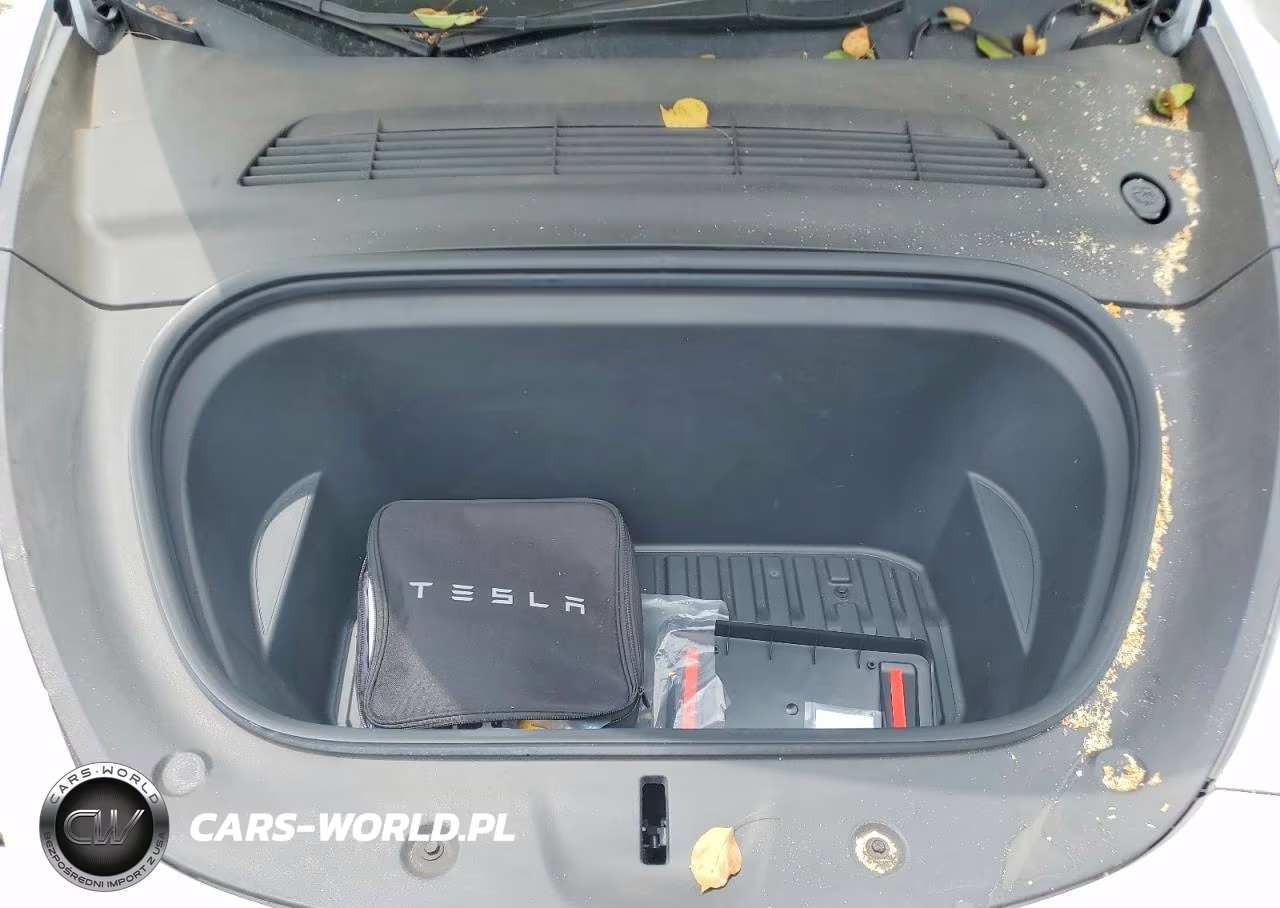2024 Tesla Model Y VIN:7SAYGAEE9RF016000 - 11