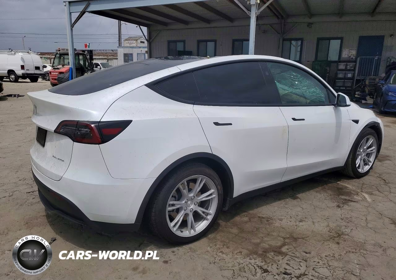 2024 Tesla Model Y VIN:7SAYGAEE9RF016000 - 3