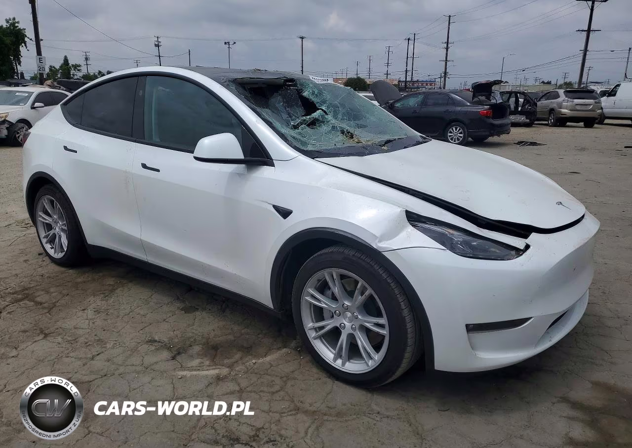 2024 Tesla Model Y VIN:7SAYGAEE9RF016000 - 4
