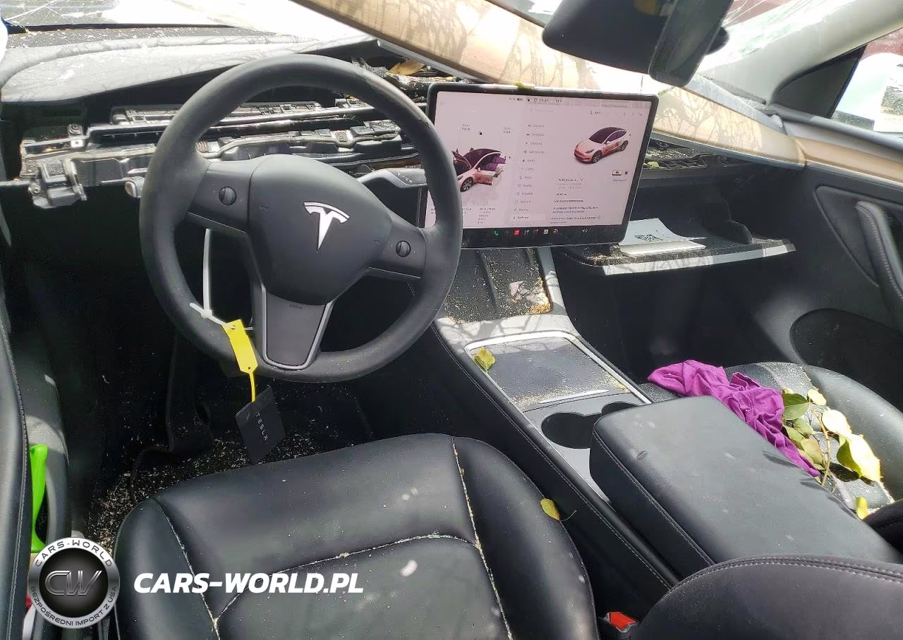 2024 Tesla Model Y VIN:7SAYGAEE9RF016000 - 8