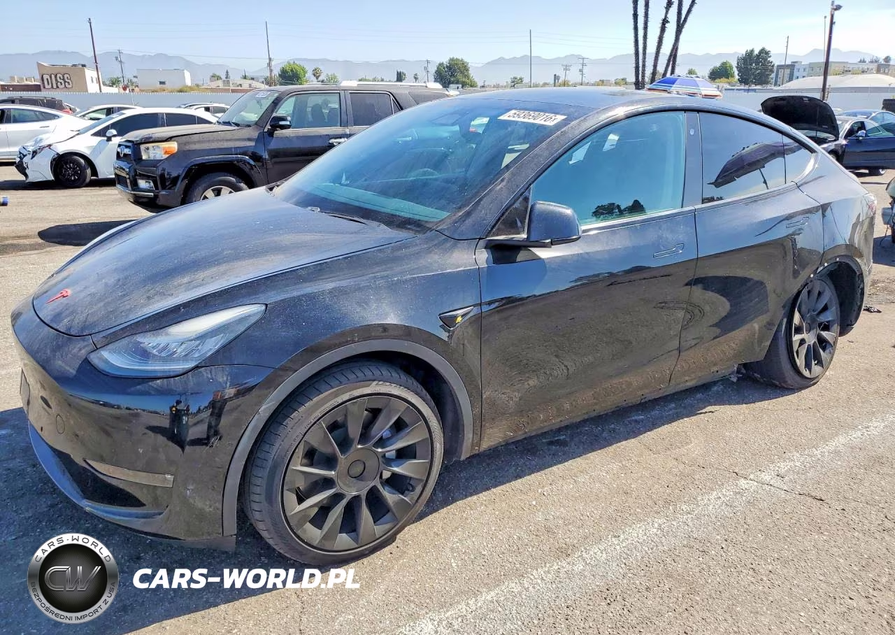 2020 Tesla Model Y