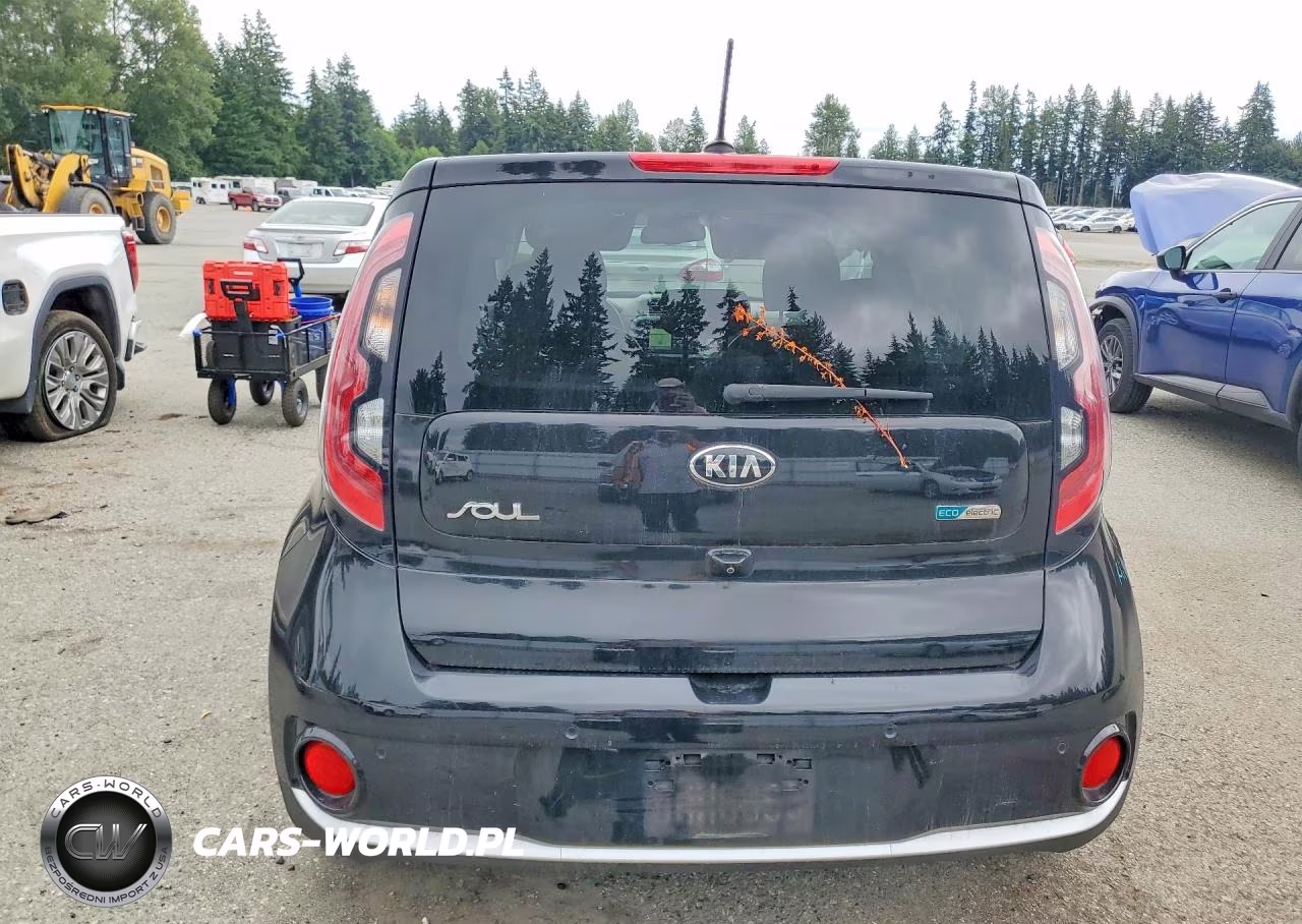 2016 Kia Soul Ev + VIN:KNDJX3AE4G7017283 - 6