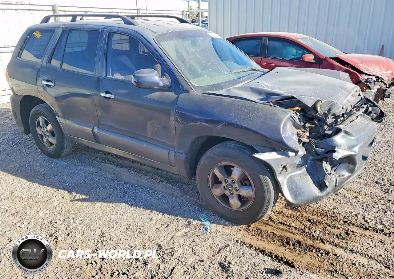 2005 Hyundai Sante Fe VIN:KM8SC13E15U921538 - 4