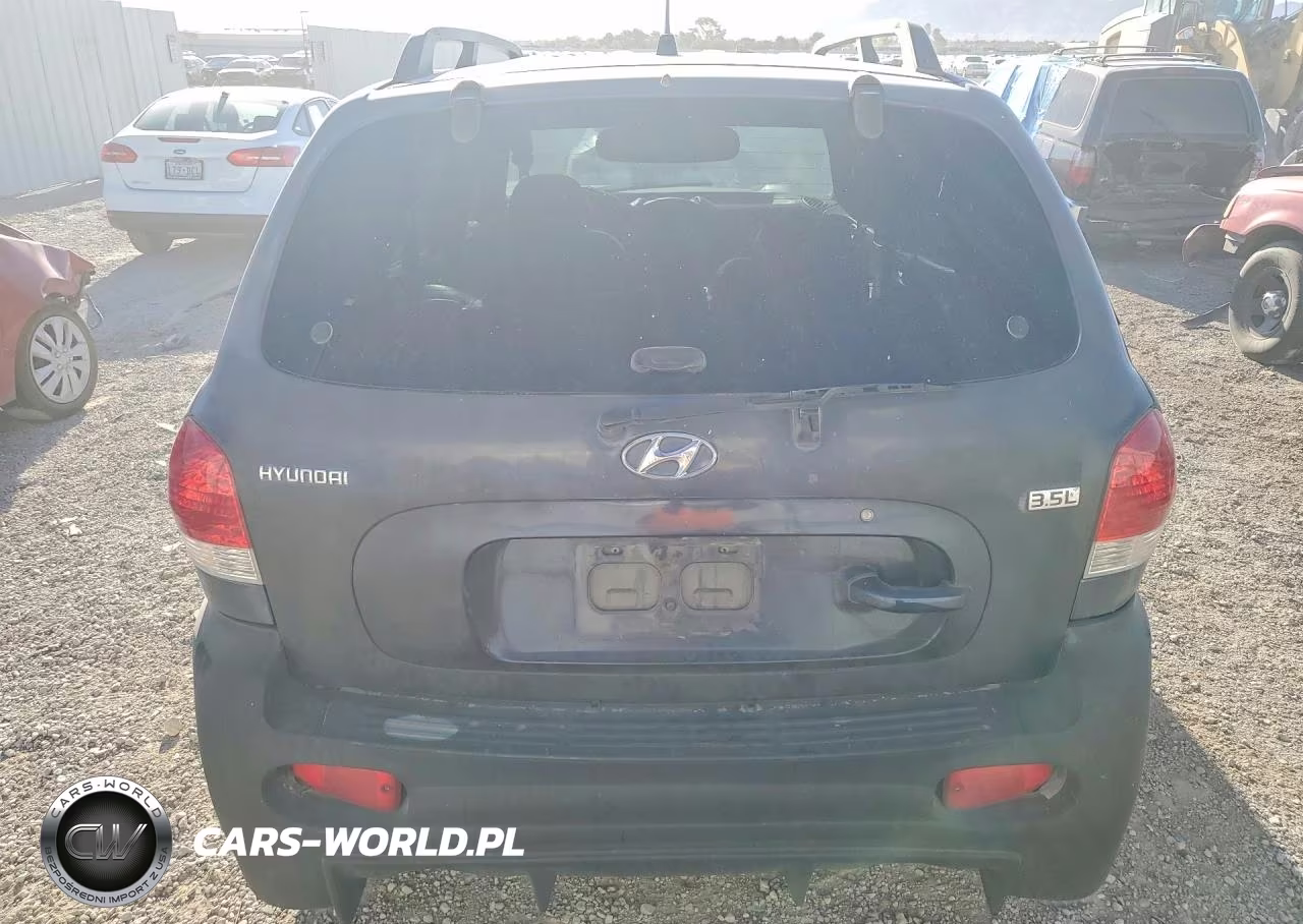 2005 Hyundai Sante Fe VIN:KM8SC13E15U921538 - 6
