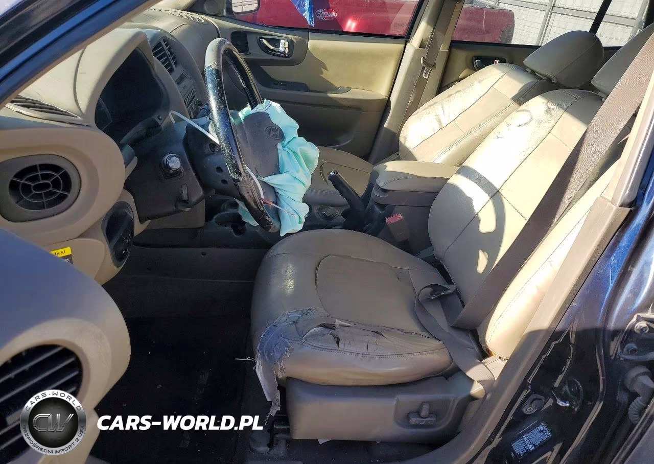 2005 Hyundai Sante Fe VIN:KM8SC13E15U921538 - 7