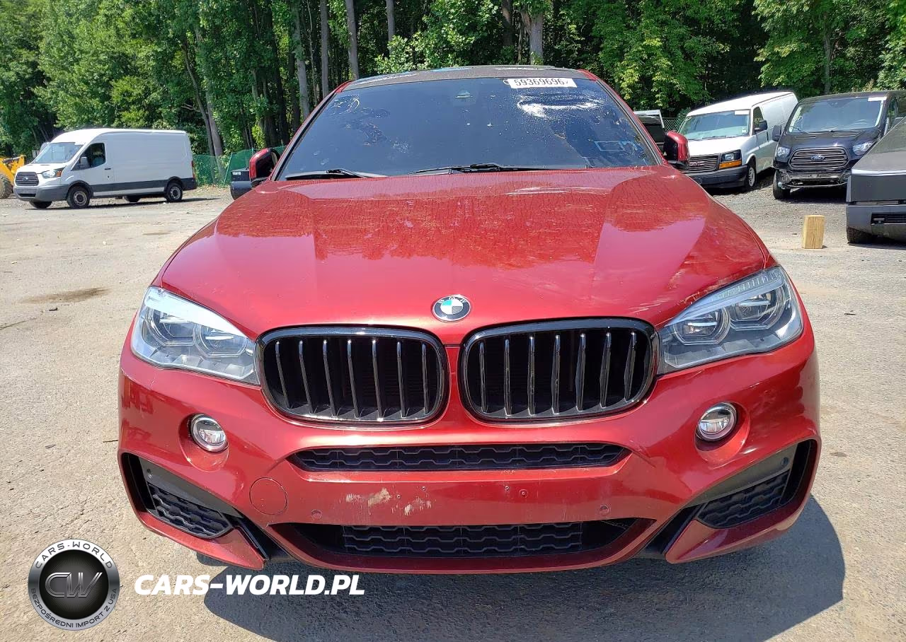 2018 BMW X6 xDrive35I VIN:5UXKU2C54J0X49593 - 5