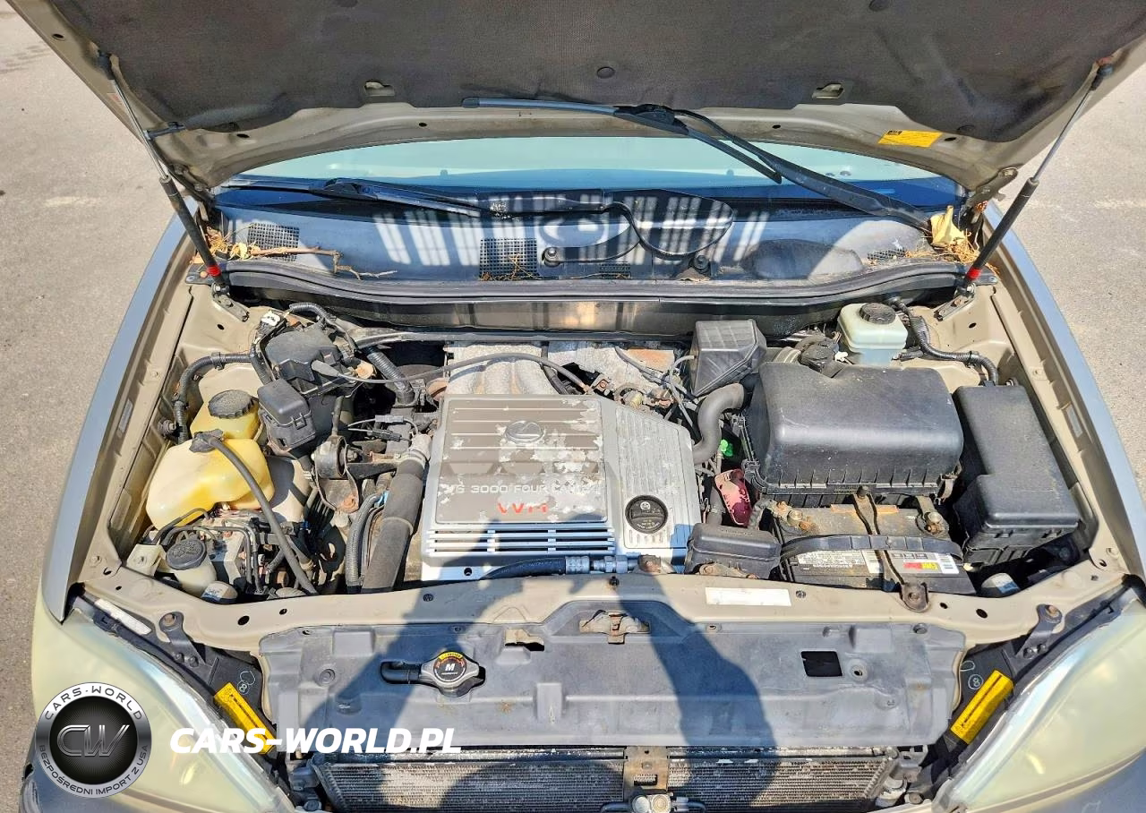 2003 Lexus Rx 300 VIN:JTJHF10U230308010 - 12