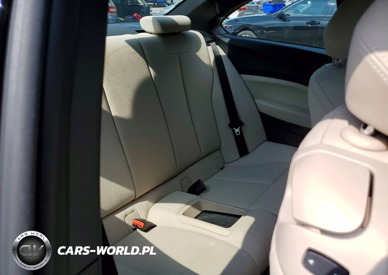 2018 BMW 230I VIN:WBA2J1C50JVD09281 - 10