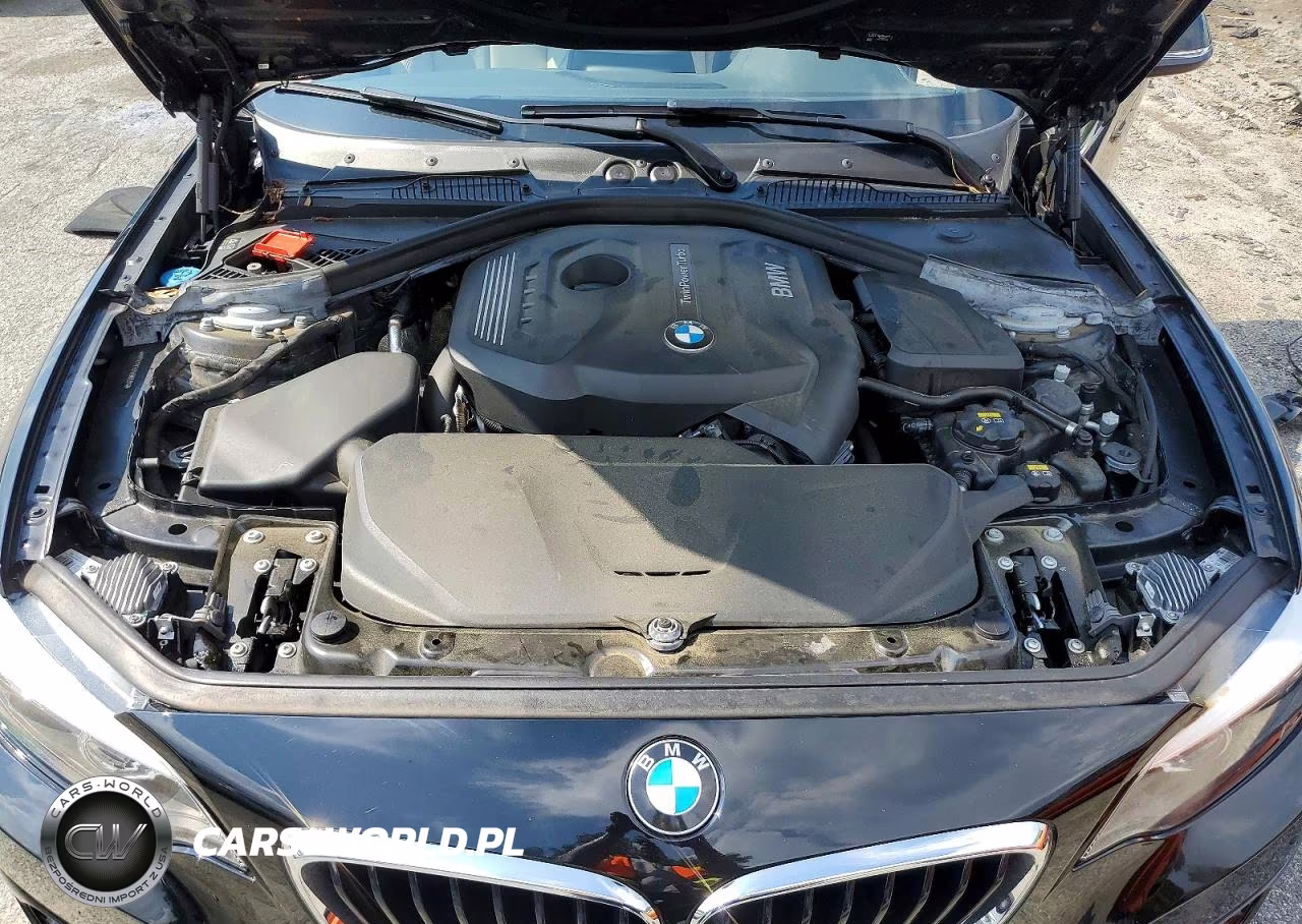 2018 BMW 230I VIN:WBA2J1C50JVD09281 - 11