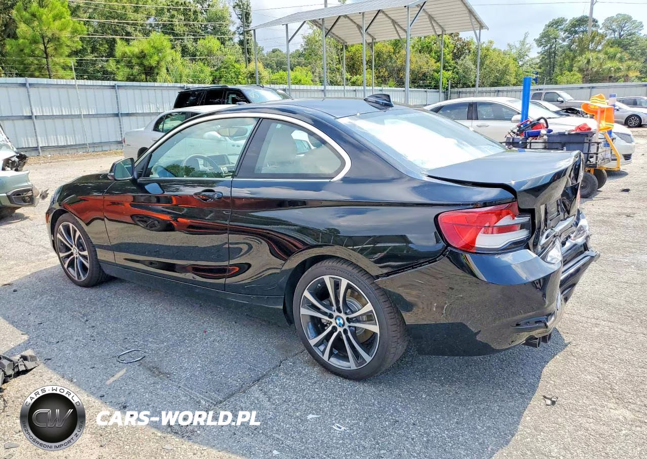 2018 BMW 230I VIN:WBA2J1C50JVD09281 - 2