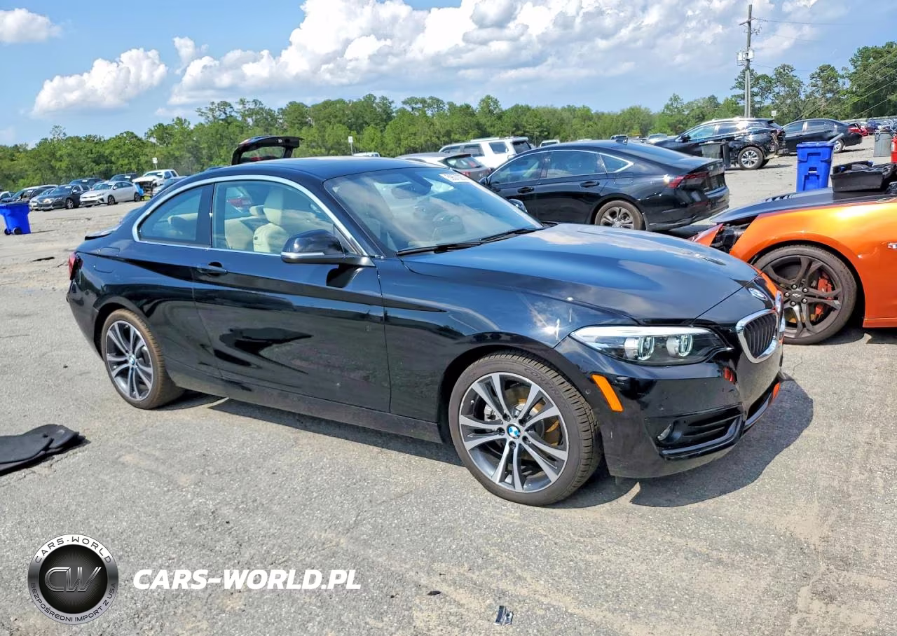 2018 BMW 230I VIN:WBA2J1C50JVD09281 - 4