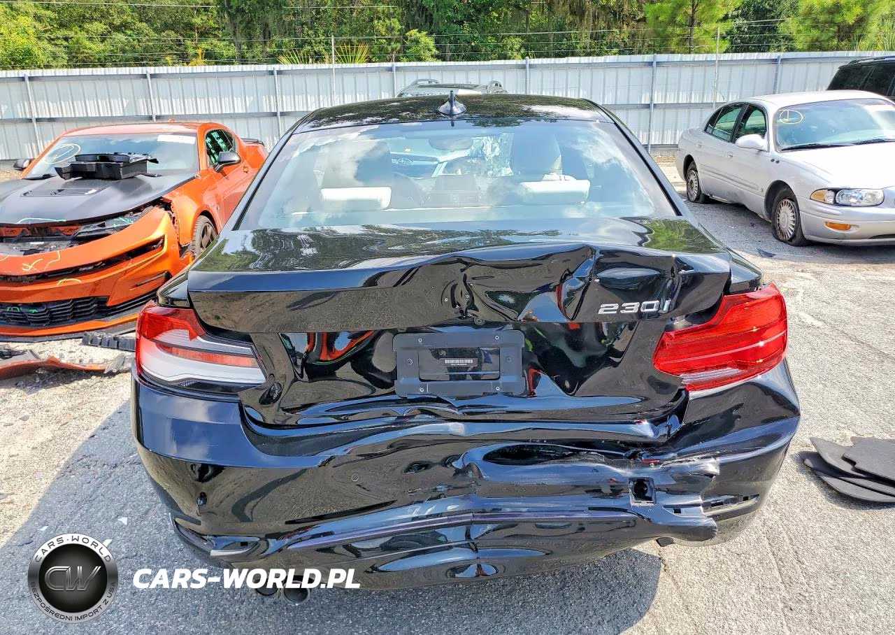 2018 BMW 230I VIN:WBA2J1C50JVD09281 - 6
