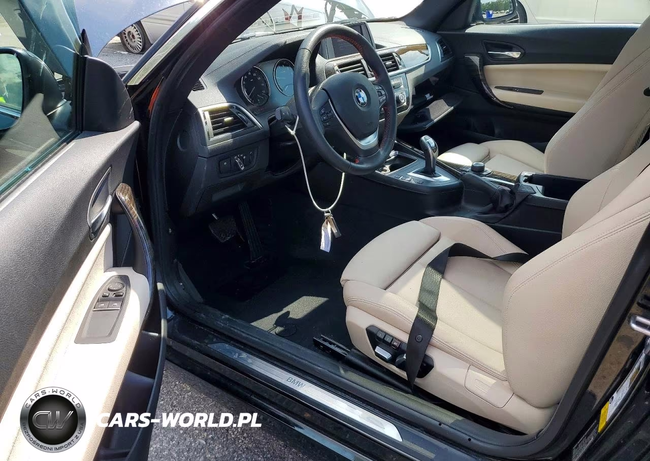2018 BMW 230I VIN:WBA2J1C50JVD09281 - 8