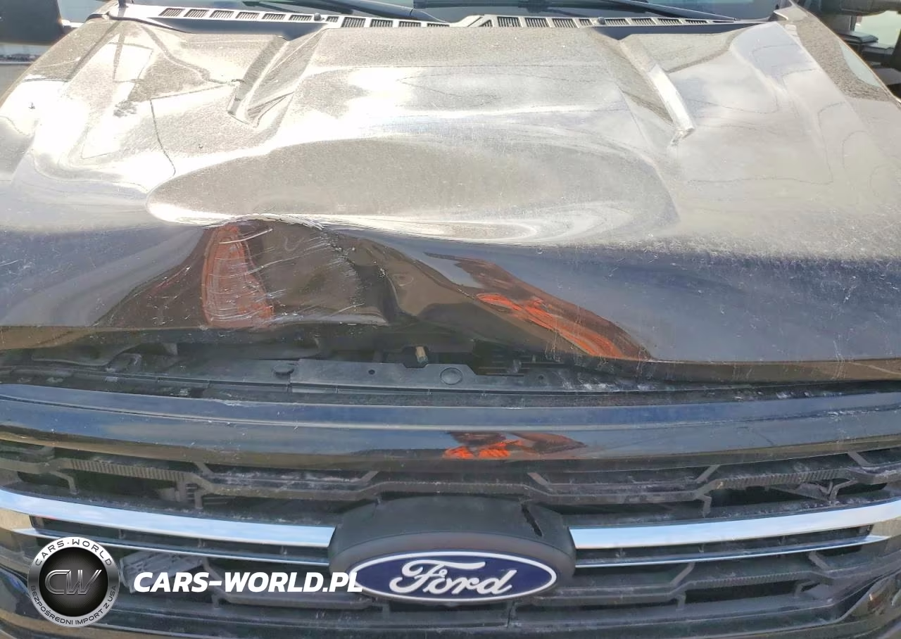 2024 Ford F150 Xlt VIN:1FTFW3L89RFA95180 - 11