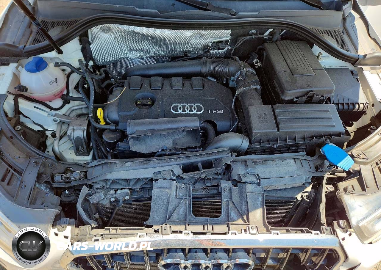 2015 Audi Q3 Premium Plus VIN:WA1EFCFSXFR007325 - 11