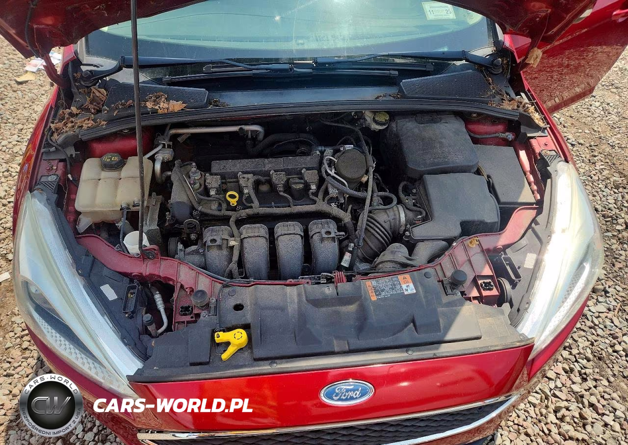 2015 Ford Focus Se VIN:1FADP3F21FL353237 - 11
