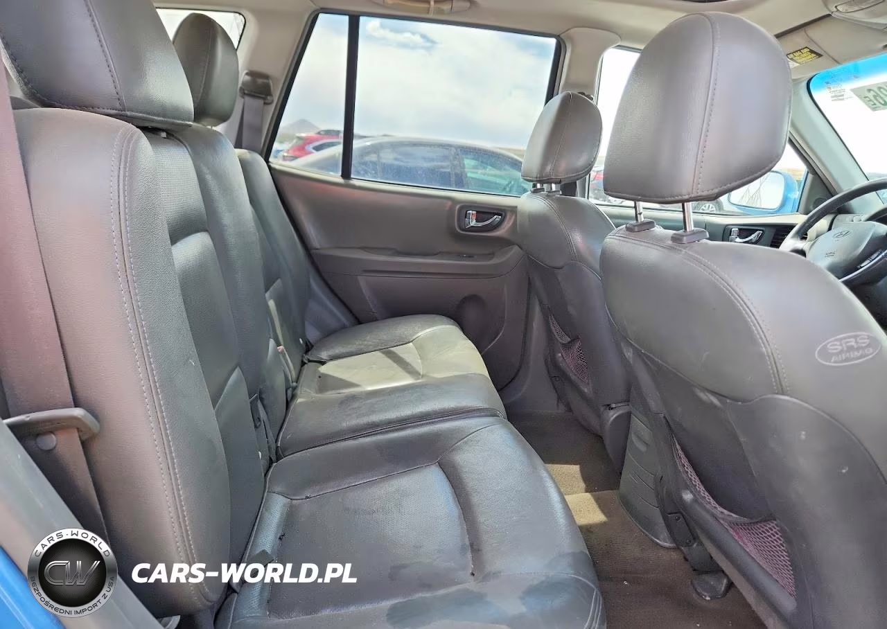 2004 Hyundai Santa Fe Gls VIN:KM8SC73E44U595929 - 10
