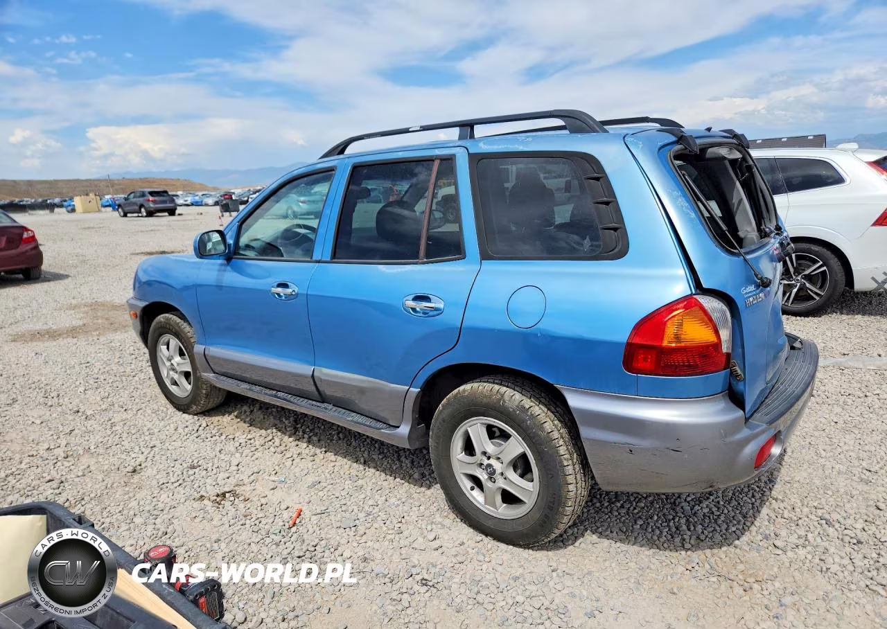 2004 Hyundai Santa Fe Gls VIN:KM8SC73E44U595929 - 2