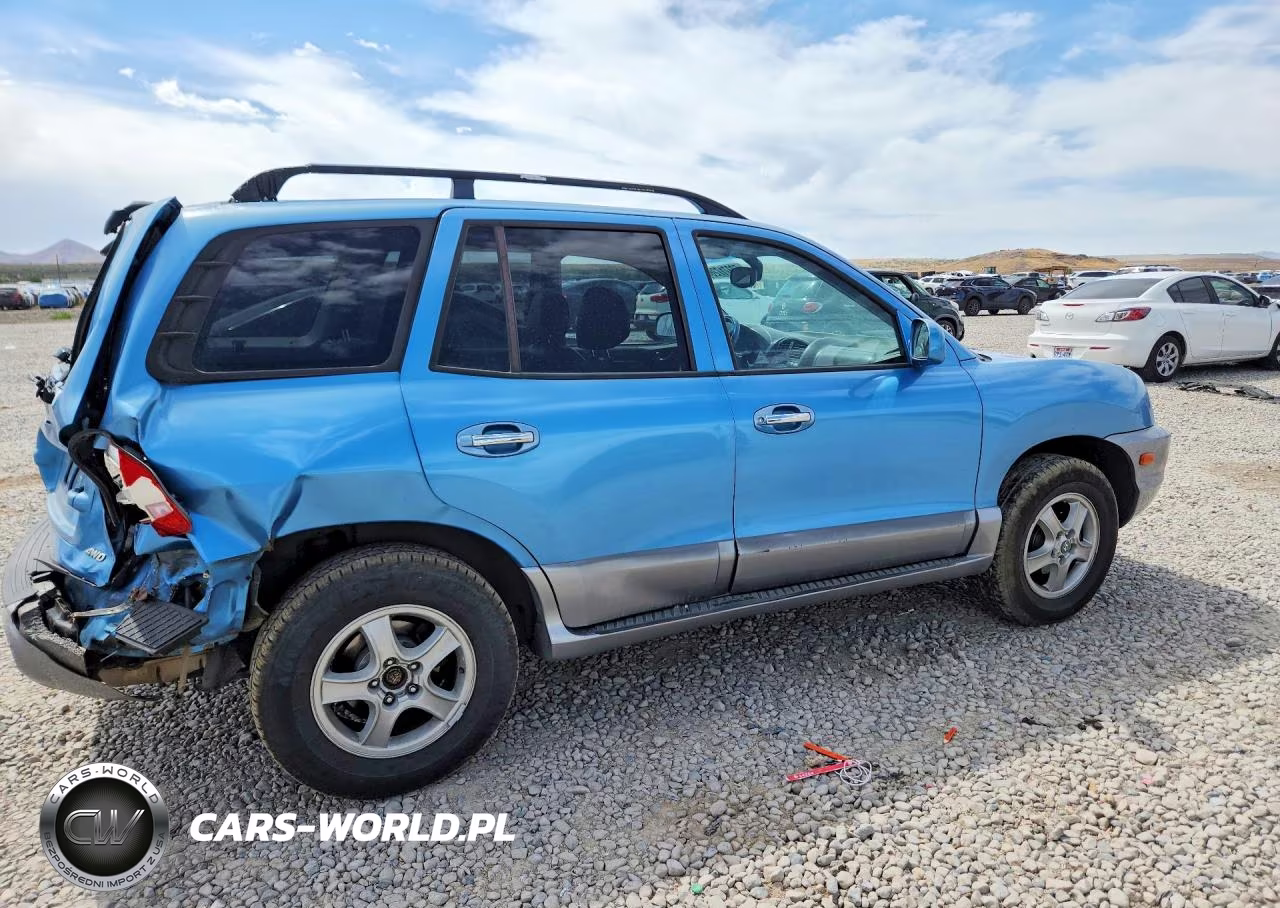 2004 Hyundai Santa Fe Gls VIN:KM8SC73E44U595929 - 3