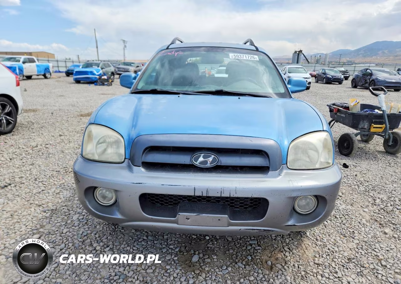 2004 Hyundai Santa Fe Gls VIN:KM8SC73E44U595929 - 5