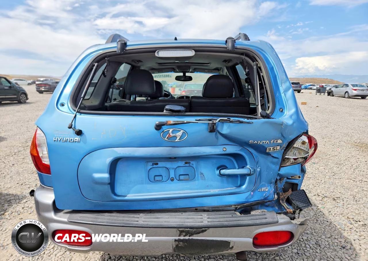 2004 Hyundai Santa Fe Gls VIN:KM8SC73E44U595929 - 6