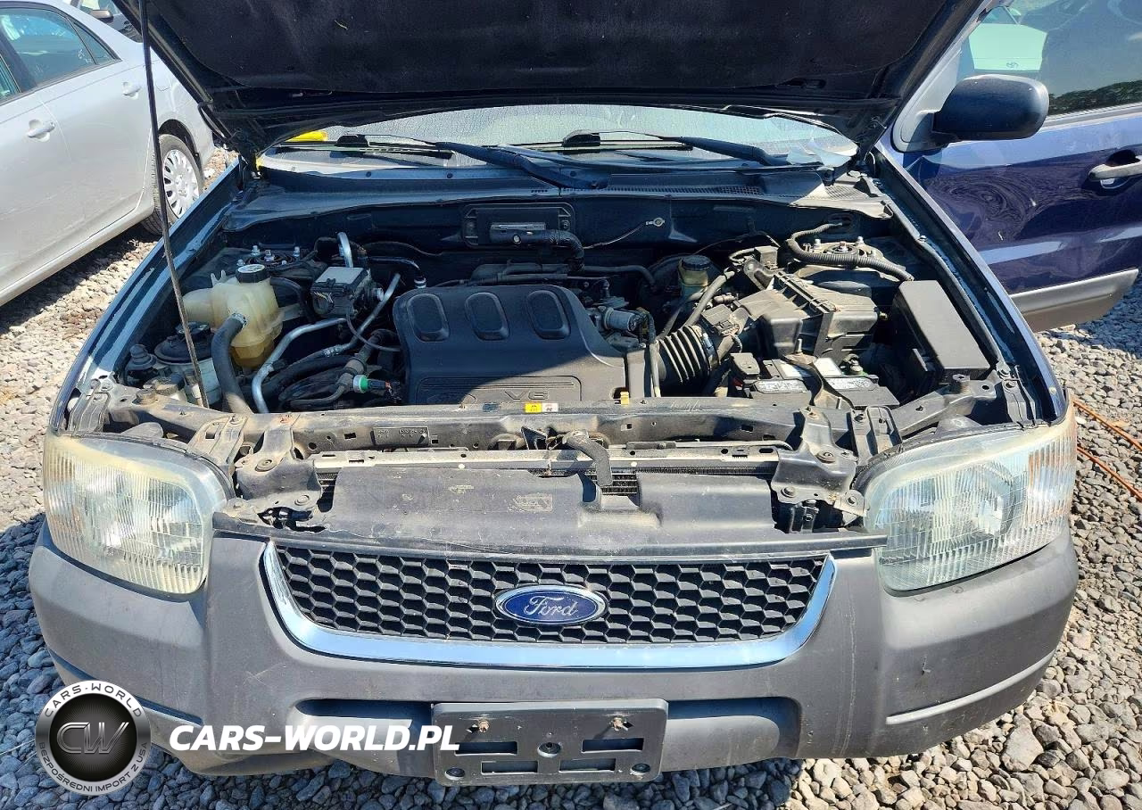 2004 Ford Escape Xlt VIN:1FMCU93194KA36334 - 11