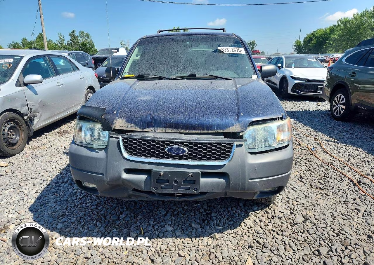 2004 Ford Escape Xlt VIN:1FMCU93194KA36334 - 5