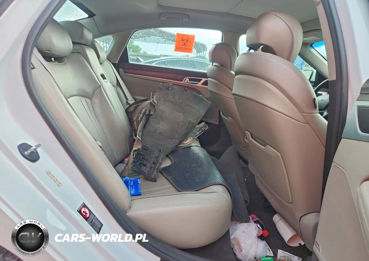 2017 Genesis G80 Ultimate VIN:KMHGN4JF0HU204923 - 10