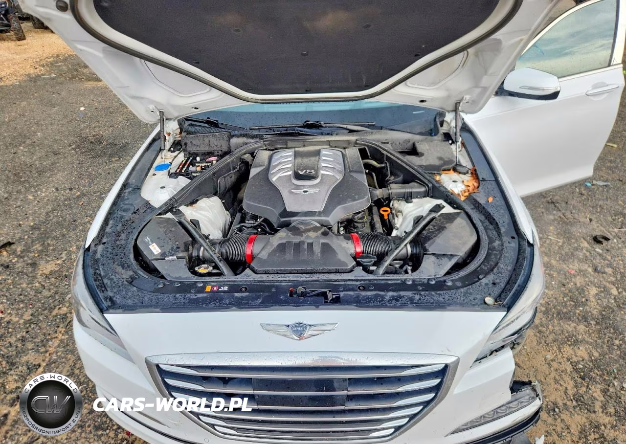 2017 Genesis G80 Ultimate VIN:KMHGN4JF0HU204923 - 11