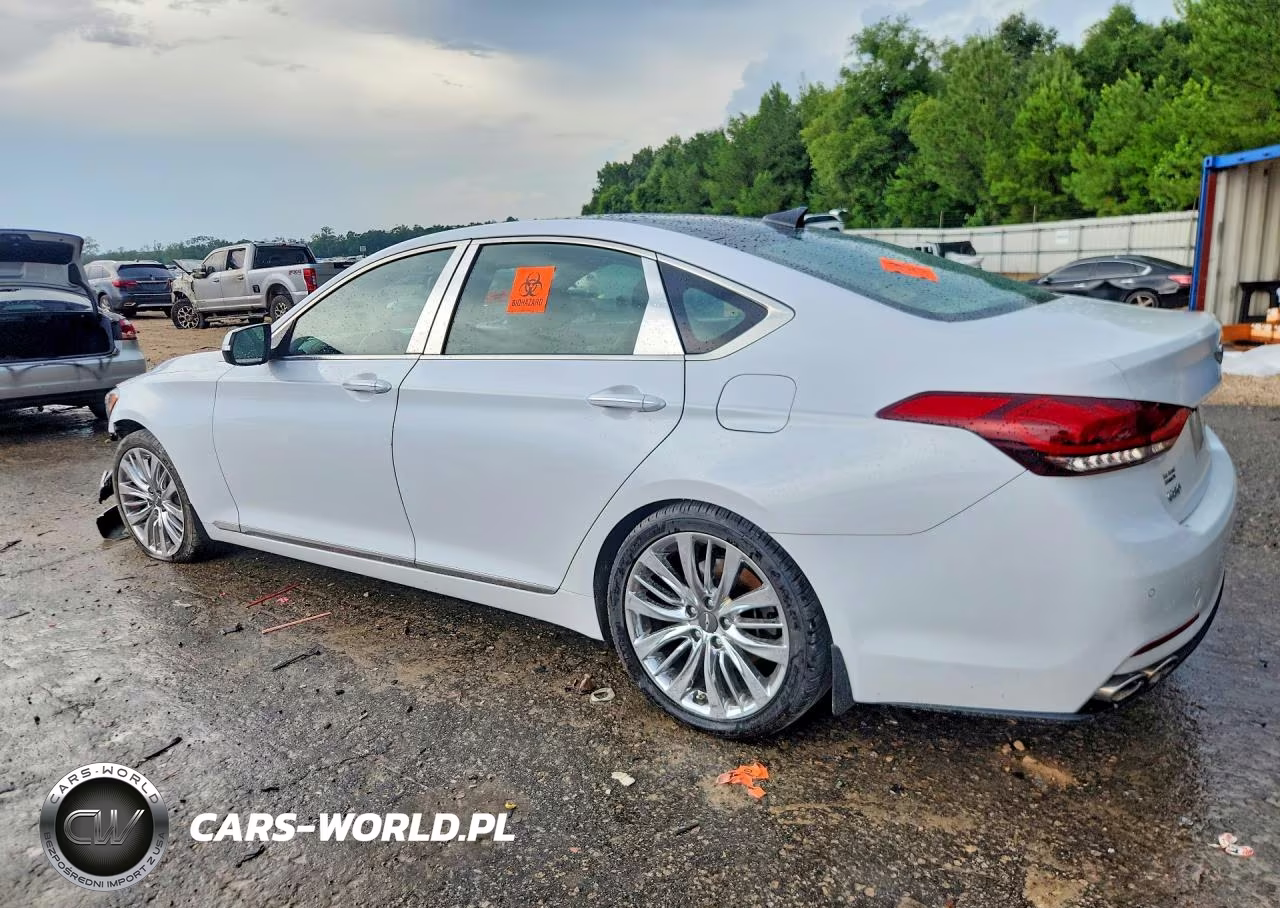 2017 Genesis G80 Ultimate VIN:KMHGN4JF0HU204923 - 2