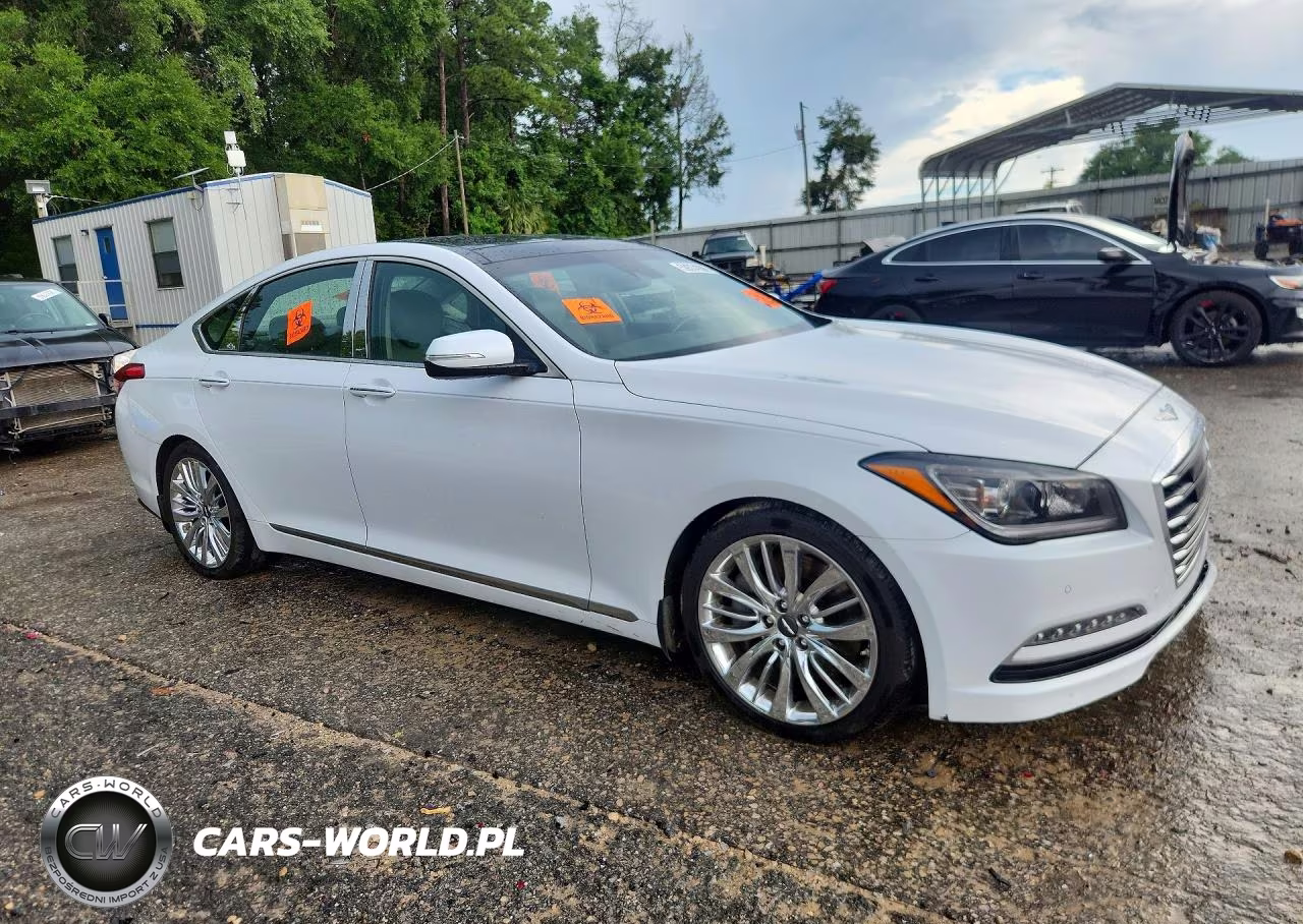 2017 Genesis G80 Ultimate VIN:KMHGN4JF0HU204923 - 4